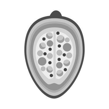 Yer fıstığı ve tohum işaretinin vektör tasarımı. Ağ için zemin fıstığı ve vitamin depolama sembolü koleksiyonu.