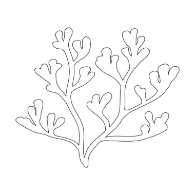 Deniz yosunu vektör simgesi. Beyaz arkaplan yosununda izole edilmiş dış hat vektör simgesi.