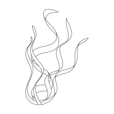 Deniz yosunu vektör simgesi. Beyaz arkaplan yosununda izole edilmiş dış hat vektör simgesi.