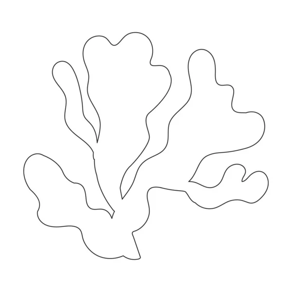 Значок вектора морських водоростей. Значок поза лінією вектора ізольовано на білому тлі морських водоростей . — стоковий вектор