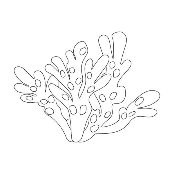Ícone vetor Seaweed icon.Outline vetor isolado em algas brancas fundo. —  Vetores de Stock