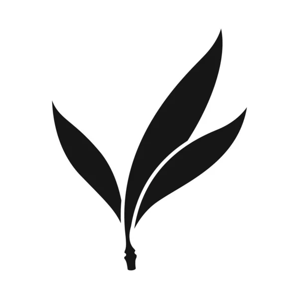 Objet isolé du logo feuille et sucre. Élément Web de l'illustration vectorielle feuille et bouillon vert. — Image vectorielle