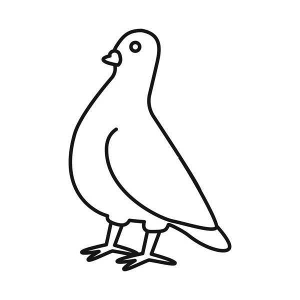 Objet isolé de colombe et symbole d'oiseau. Ensemble de colombe et illustration vectorielle de stock de paix. — Image vectorielle