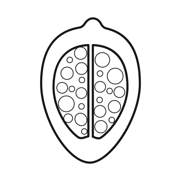 Conception vectorielle de l'arachide et symbole de la graine. Ensemble d'icône vectorielle arachide et vitamines pour stock . — Image vectorielle