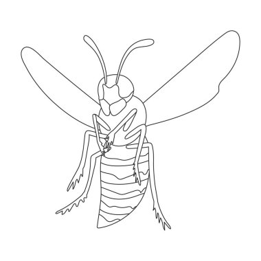 Yabanarısı vektör çizgisi simgesi. Beyaz arka planda vektör illüstrasyon böceği yaban arısı. Böcek eşekarısının izole edilmiş ana hatlı resim simgesi.