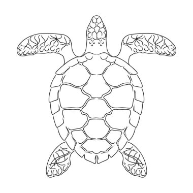Kaplumbağa vektör simgesi. Beyaz arkaplan kaplumbağasında izole edilmiş dış hat vektör simgesi..