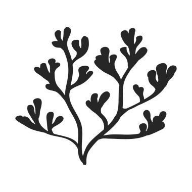 Deniz yosunu vektör simgesi. Siyah vektör simgesi beyaz arkaplan yosununda izole edildi.