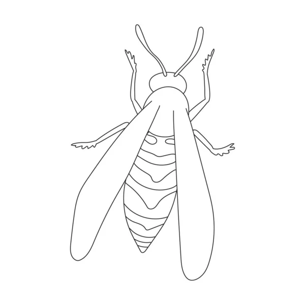 Wespenvektorumrisssymbol. Vektorillustration Insekt Wespe auf weißem Hintergrund. Vereinzelte Umrisse illustrieren Ikone der Insektenhornisse. — Stockvektor