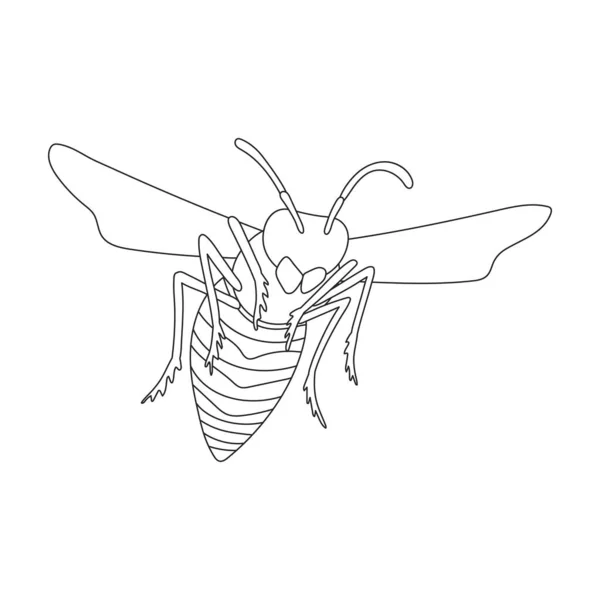Wesp vector omtrek icoon. Vector illustratie insectenwesp op witte achtergrond. Geïsoleerde schets illustratie icoon van insectenhorzel. — Stockvector