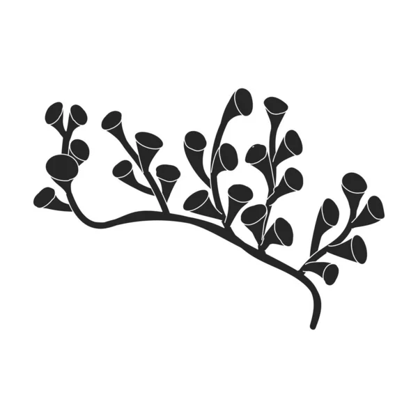 Icono vectorial de algas marinas. Icono vectorial negro aislado sobre fondo blanco. — Vector de stock
