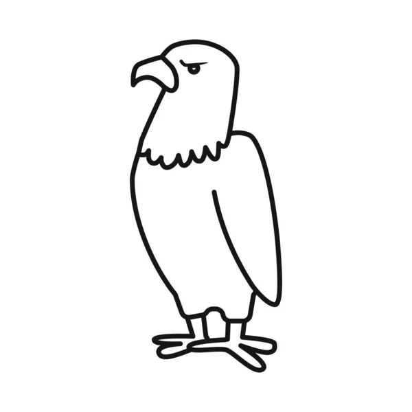 Objeto isolado do ícone pássaro e águia. Jogo de pássaro e símbolo de estoque predatório de web. —  Vetores de Stock