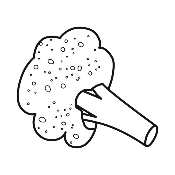 Diseño vectorial de brócoli y logotipo vegetal. Colección de brócoli y coliflor símbolo de stock para la web. — Archivo Imágenes Vectoriales
