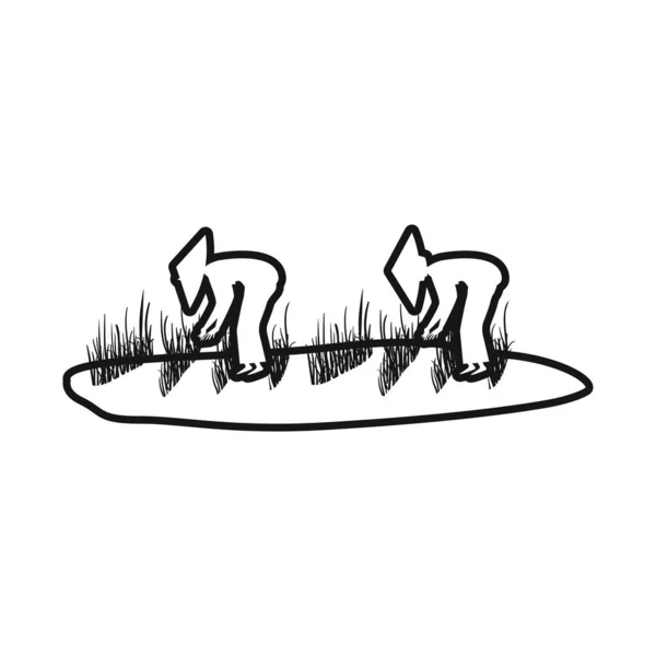 Ilustracja wektorowa ryżu i znaku pola. Zestaw symboli ryżu i zasobów wodnych do stron internetowych. — Wektor stockowy
