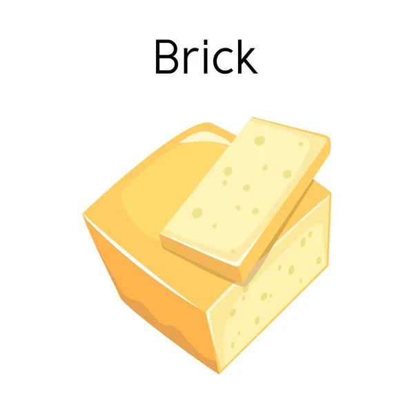 벡터 디자인의 치즈와 벽돌의 상징. 치즈 그래픽 과 주식을 위한 식욕을 돋우는 벡터 아이콘. — 스톡 벡터