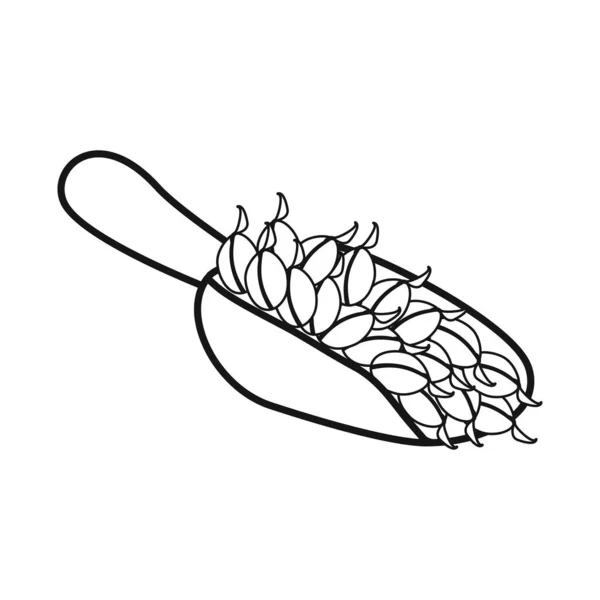 Ilustración vectorial de la cucharada y el logotipo de grano. Colección de primicia e ilustración de vector de stock orgánico. — Archivo Imágenes Vectoriales