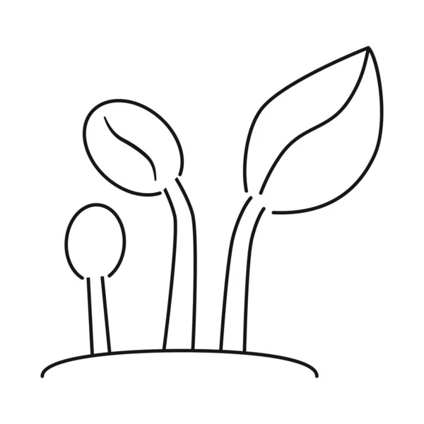 벡터 디자인의 싹 과 커피 아이콘. 싹 이 나고 야채 주식 벡터 삽화. — 스톡 벡터