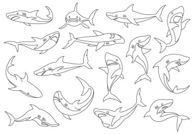 Deniz köpekbalığı vektör ana hatları simge belirlendi. Beyaz arka planda köpekbalığının vektör çizimi. İzole edilmiş ana hatlı ikonlar, okyanus hayvanları..