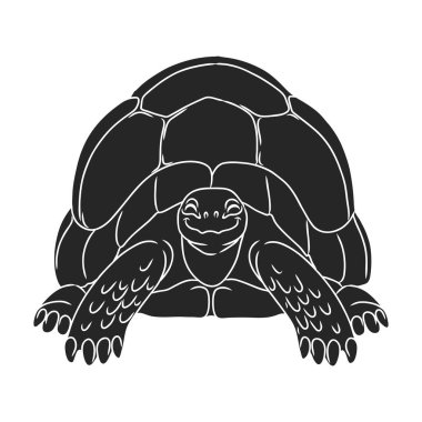 Kaplumbağa vektör simgesi. Siyah vektör logosu beyaz arka plan kaplumbağasında izole edilmiş..