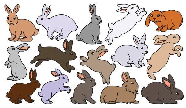 Tavşan Vektör Renk Seti Simgesi Zole Edilmiş Renk Seti Simgeleri — Stok Vektör