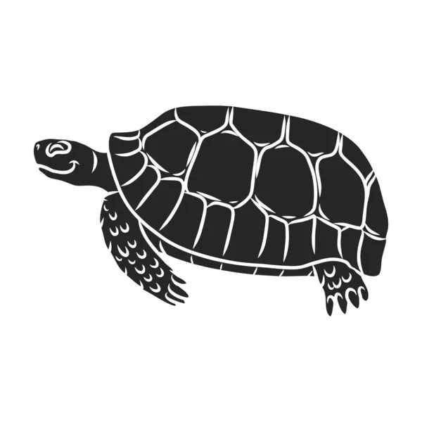 Turtle Vector Icon Black Vector Logo Geïsoleerd Witte Achtergrond Schildpad — Stockvector