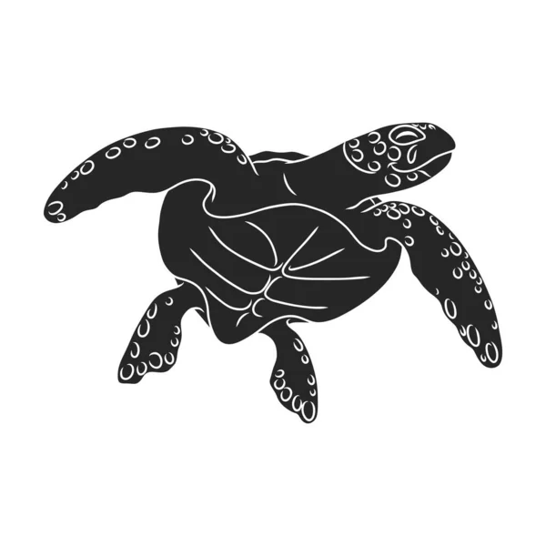 Векторний Значок Черепахи Чорний Векторний Логотип Ізольовано Білому Тлі Черепахи — стоковий вектор