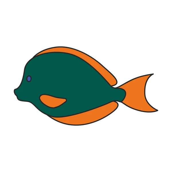 Tropical Fish Vector Icon Cartoon Vector Logo Isolated White Background — Stock Vector