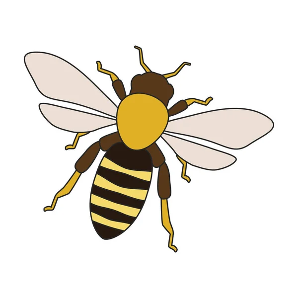 白い背景に孤立したカラーベクトルロゴ Honey Bee — ストックベクタ
