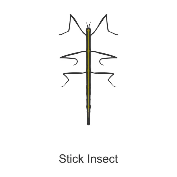 Stick Insekt Vektor Ikon Färg Vektor Logotyp Isolerad Vit Bakgrund — Stock vektor