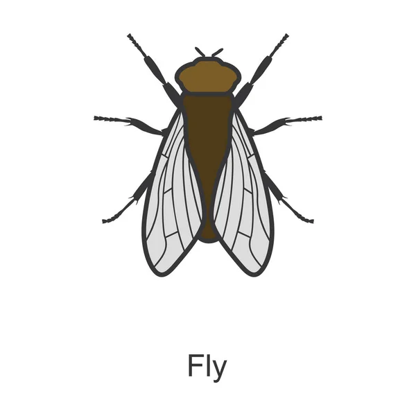 昆虫フライベクトルアイコン白い背景昆虫フライに分離されたカラーベクトルロゴ — ストックベクタ