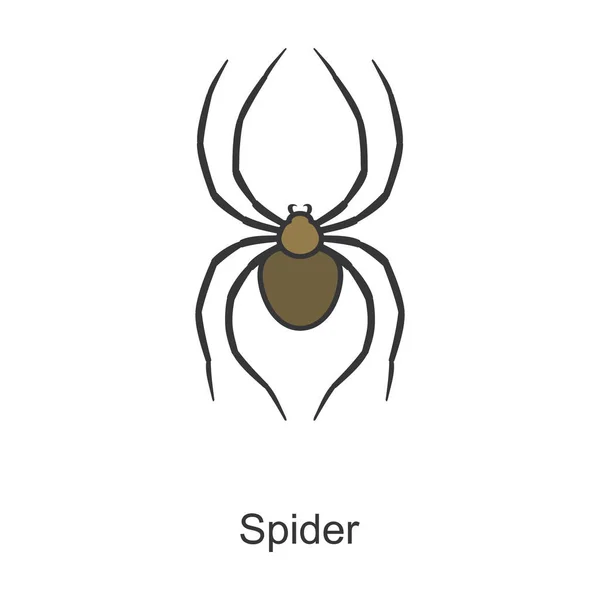 Spider Vector Icon Color Vector Logo Geïsoleerd Witte Achtergrond Spin — Stockvector