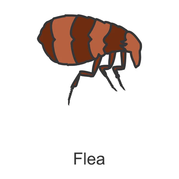 Flea Vector Icon Color Vector Logo Isolated White Background Flea — Stock Vector