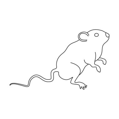 Fare vektör simgesi. Beyaz arkaplan faresinde izole edilmiş dış hat vektör logosu.