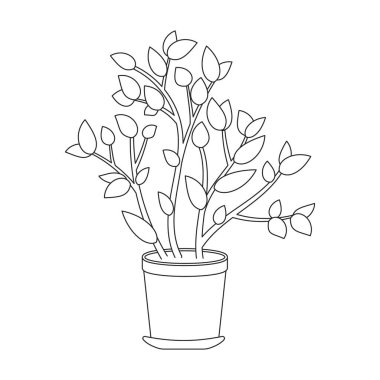 Çiçek saksısı vektör ana hatları simgesi. Beyaz arkaplanda vektör illüstrasyon saksısı. Çiçek saksısının izole ana hatlı çizim logosu.