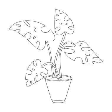 Çiçek saksısı vektör ana hatları simgesi. Beyaz arkaplanda vektör illüstrasyon saksısı. Çiçek saksısının izole ana hatlı çizim logosu.