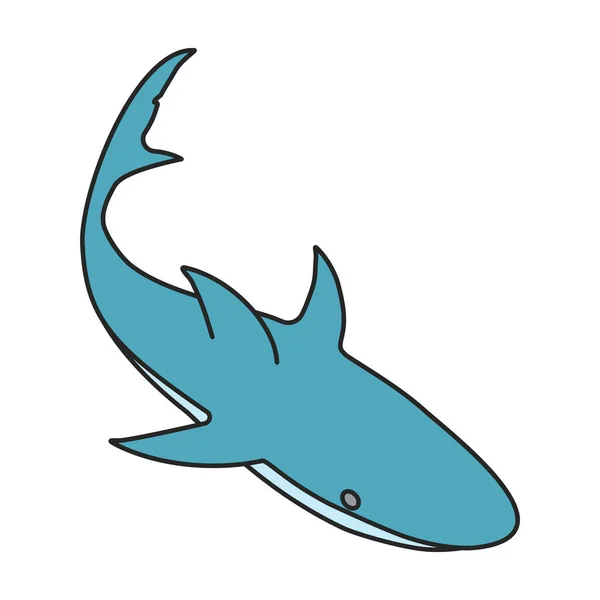 Köpekbalığı Vektör Simgesi Beyaz Arkaplan Köpekbalığı Üzerinde Renk Vektörü Logosu — Stok Vektör