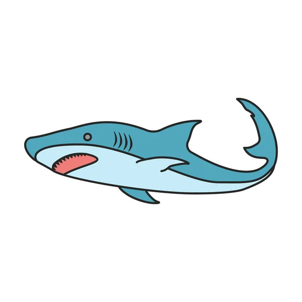 Icône Vectorielle Logo Vectoriel Couleur Isolé Sur Fond Blanc Requin — Image vectorielle