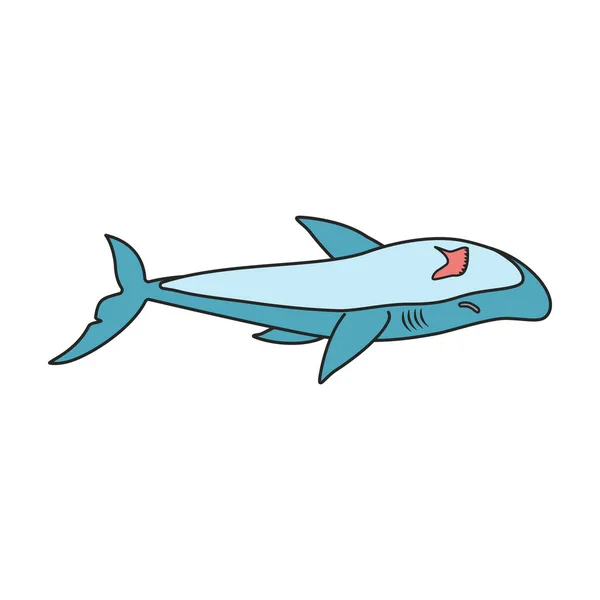 Icône Vectorielle Logo Vectoriel Couleur Isolé Sur Fond Blanc Requin — Image vectorielle