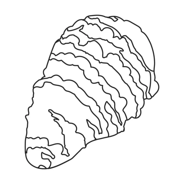 カキベクトルアイコン白い背景カキに隔離された概要ベクトルロゴ — ストックベクタ