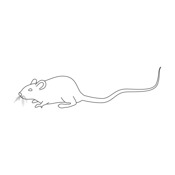 Rato Vetor Icon Outline Logotipo Vetor Isolado Fundo Branco Mouse — Vetor de Stock