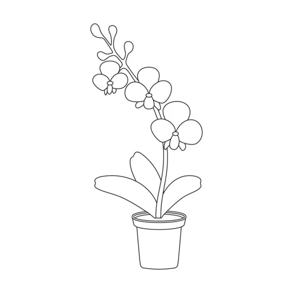 Flowerpot 아이콘 일러스트는 배경에 그린다 로만남아 모양의 — 스톡 벡터