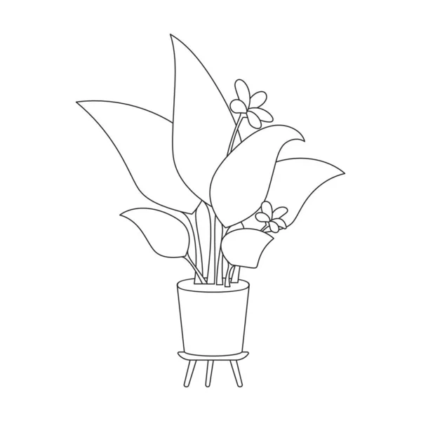 Icône Contour Vectoriel Pot Fleurs Illustration Vectorielle Pot Fleurs Sur — Image vectorielle