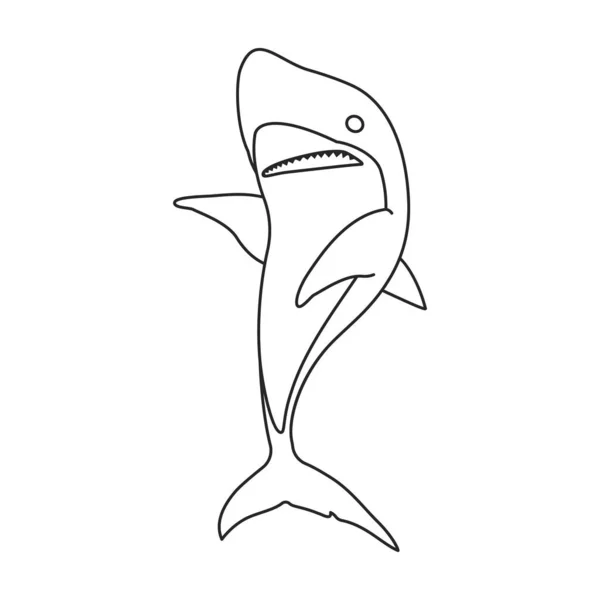 鲨鱼矢量图标 白色背景鲨鱼上孤立的矢量标识轮廓 — 图库矢量图片