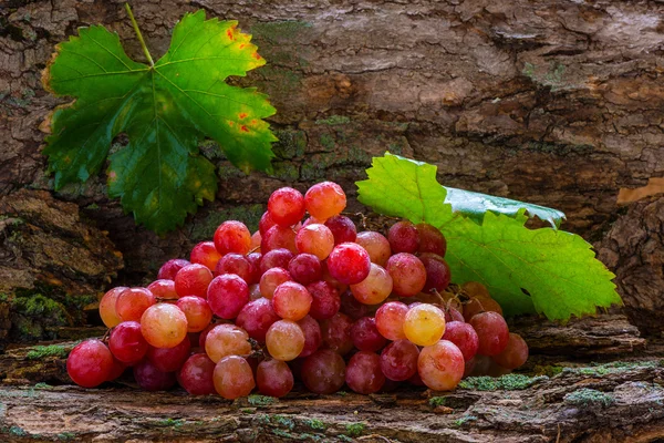 Crop of grape — Stock Photo, Image