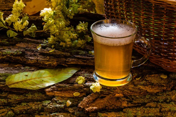 Bier und Hopfen — Stockfoto