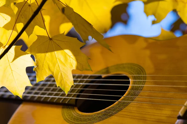 Gitara klasyczna sprężyny i liści — Zdjęcie stockowe