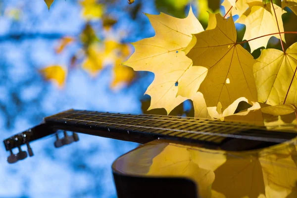 Klasická kytara a na podzim listí Stock Obrázky