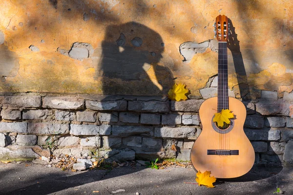 Klasická kytara a stín Stock Obrázky