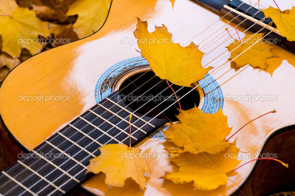 Classical guitar springs and foliage