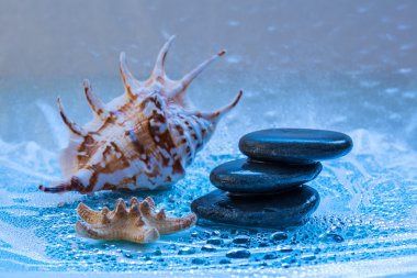 Spa shell ve afiş için taş ile natürmort