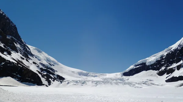 Glacier du champ de glace Columbia, Alberta, Canada Images De Stock Libres De Droits